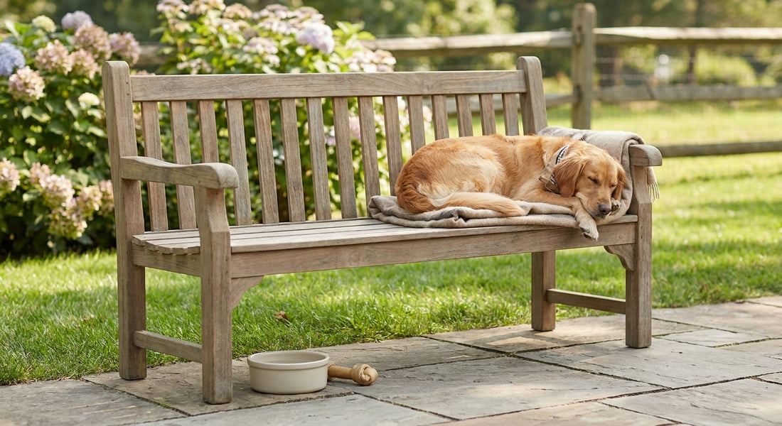 Best wooden garden bench for a dog-friendly garden