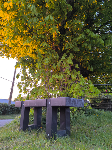 Solid heavy-duty outdoor wooden bench finished in Black Ash sitting in a green field under a tree