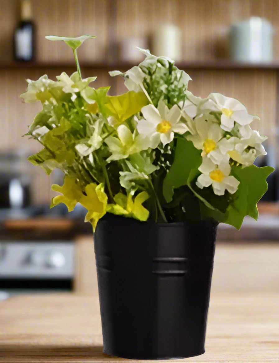 Modern 0.75l black planter used for leafy green houseplant